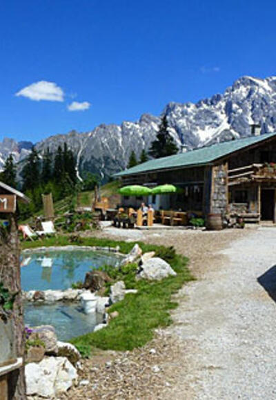 Zachhofalm mit Blick auf den Hochkönig