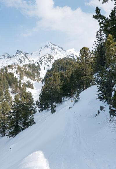Am Grat in Richtung Viggarspitze