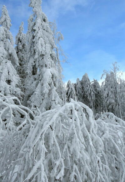 Grandiose Winterlandschaft ~860 m