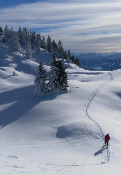 im Sattel zum Schnappen