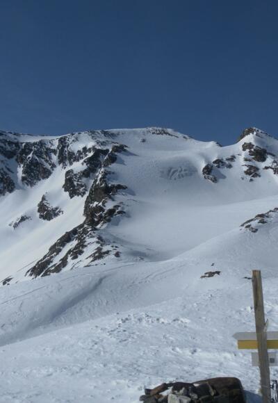Breiter Grieskogel vom Zwieselbachjoch