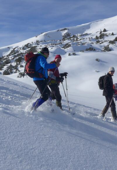 Abstieg vom Schnurschrofen in Richtung Vilsalpsee