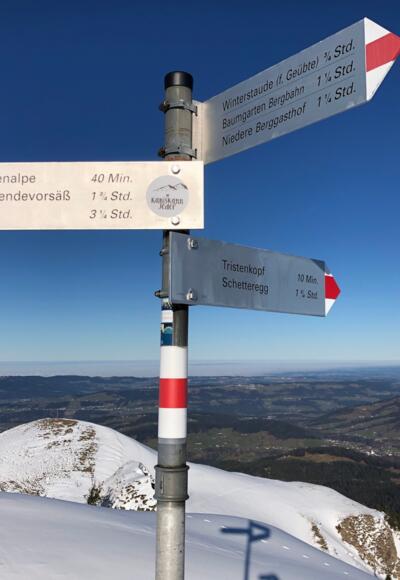 Blick über den Tristenkopf richtung Bodensee
