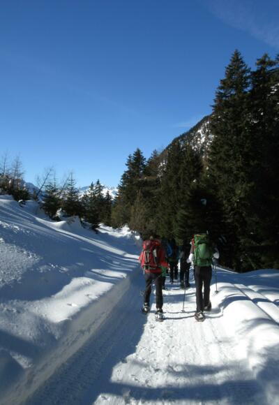 Am Anfang des Abstiegs noch in der Sonne