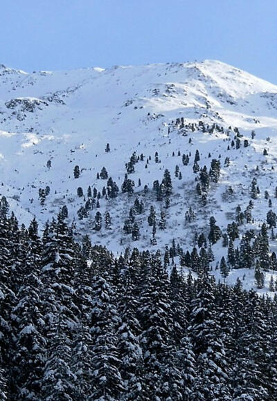 Marchkopf links vom Parkplatz Hochfügen aus gesehen