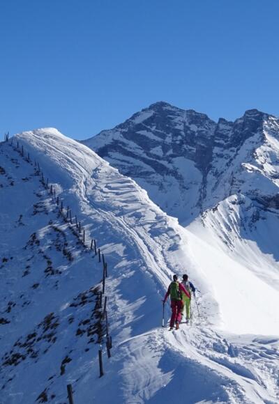 ... Blick auf Olperer, Fußstein und Schrammacher.