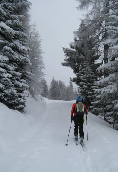 Aufstieg in Richtung Schatzberg
