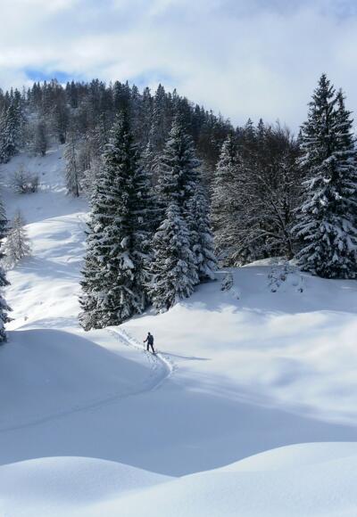 Schafelberg- Vorgipfel und Kirchberg