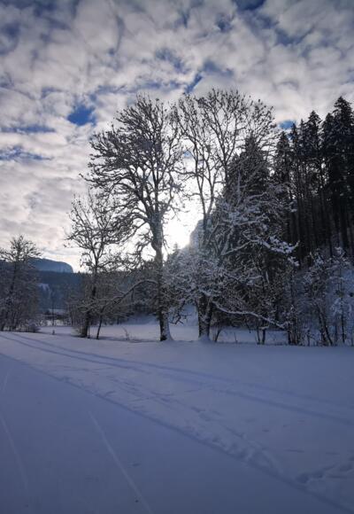 Langlaufen in Bizau