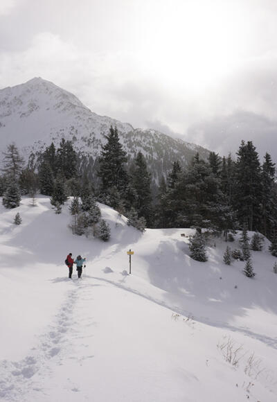 Winterwandern Stallwiesalm
