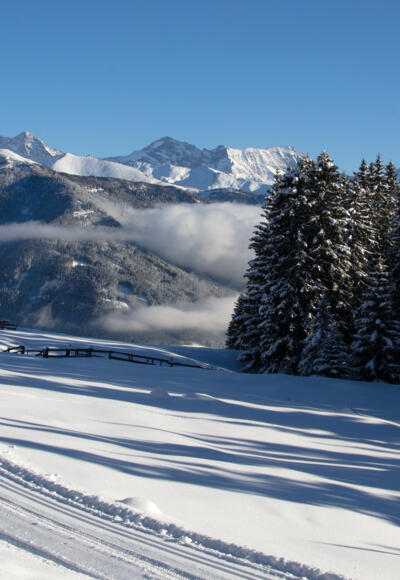 Winterwanderweg rund ums Waldraster Jöchl