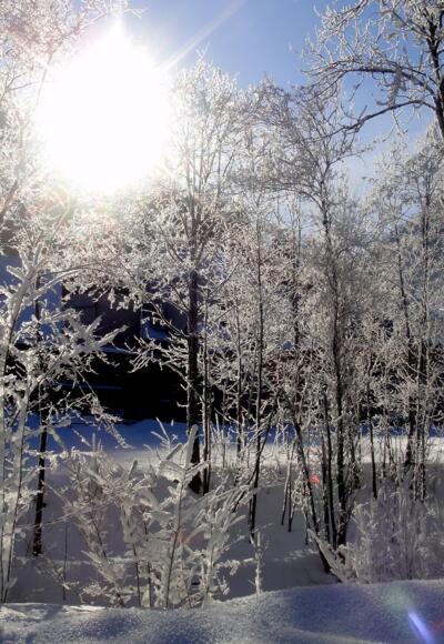 Winterlandschaft in Reuthe