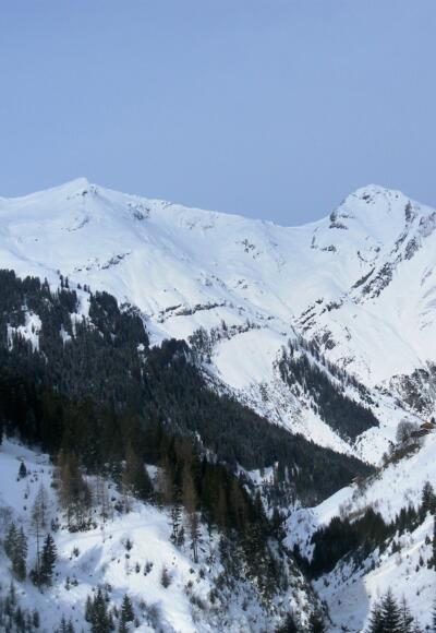 Schwarzer Kranz und Pimig aus dem Kaisertal