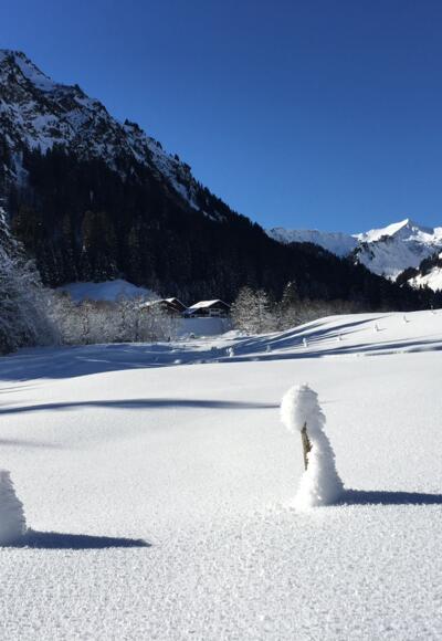 Winterwandern von Bödmen nach Baad