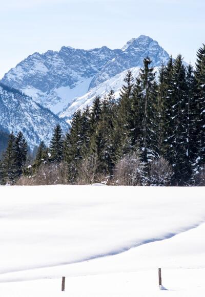 Waeldele Egg Widderstein