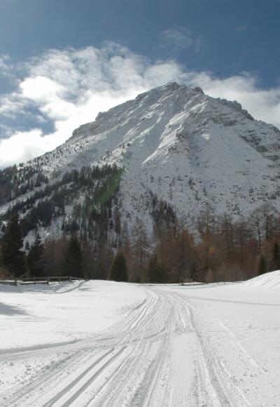 am Fuße des Tribulaun wunderschön Langlaufen
