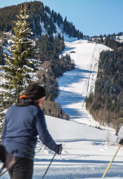 Blick Richtung Wildalm