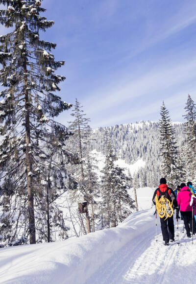 Winterwanderweg Melköde