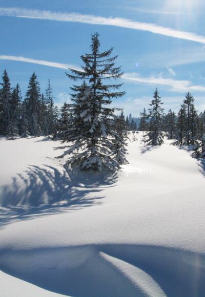 Winter in Riefensberg