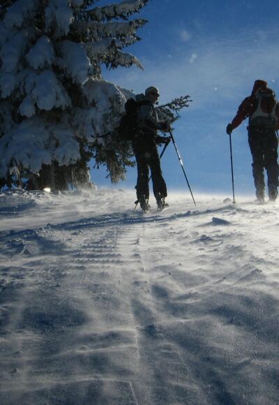 Auf dem Weg zur Sattelbergalm