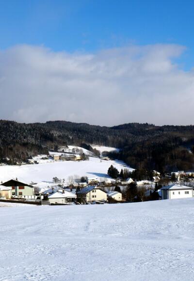 Hackl am Berg mit Kürnberg vom Güterweg