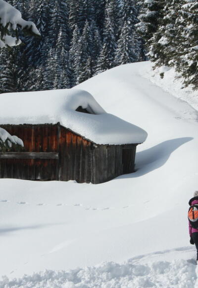 Bacher Sonnenseitenrunde