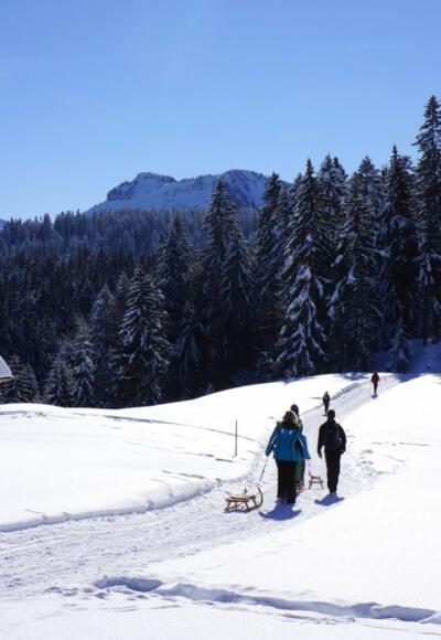 Winter in Schwarzenberg/Bödele