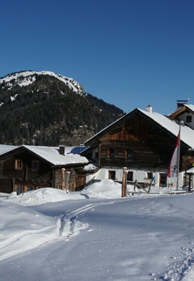 Sattelbergalm Winter