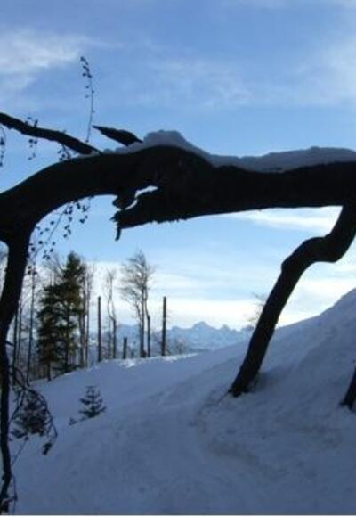 Auf der idyllischen Skiroute