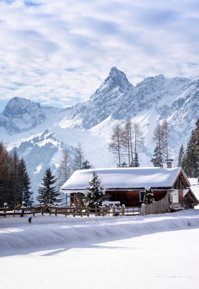 Fritzensee mit Blick auf die Zimba