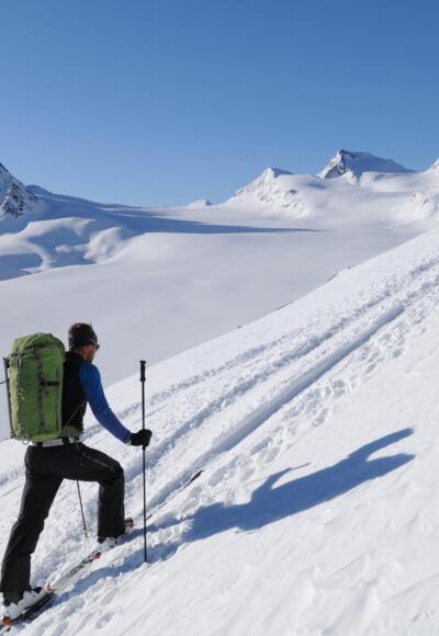 Anstieg zum Schalfkogel: Blick über den Gurgler Ferner auf die Hohe Wilde