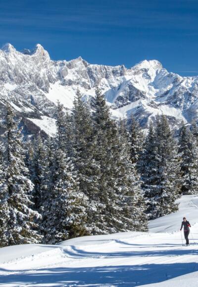 Höhenloipe Rossbrand - NEU