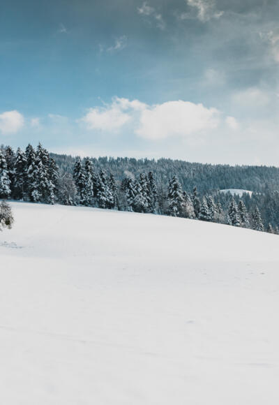 Winterlandschaft Sulzberg