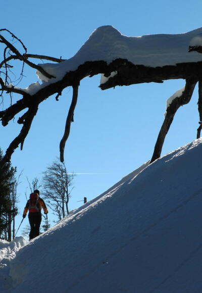 Endlich Sonne! Der untere Teil des Anstieges verläuft immer im Schatten!
