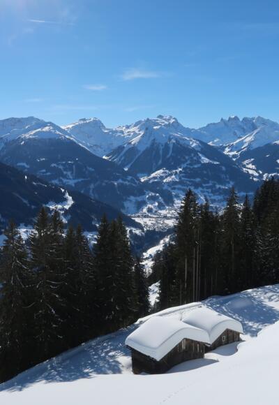 Maisäße im Montafon