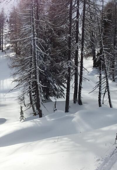 Traumhafte Landschaft 