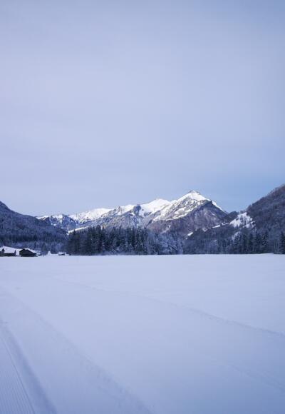 Langlaufloipe Kanis in Mellau