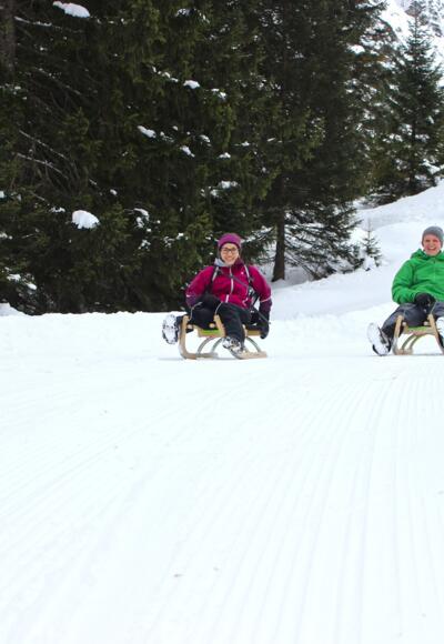 Mit dem Rodel geht es zurück ins Tal