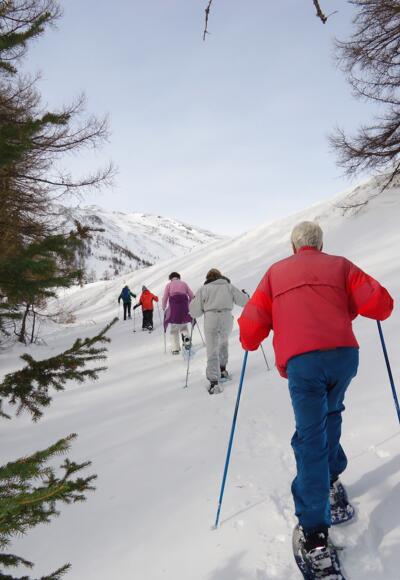 Die letzten Meter am Trogweg zurück im Skigebiet hier wieder links halten um zur Oberfeldalm zu gelangen
