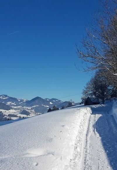 Winterwanderweg in Dresslen nach Müselbach