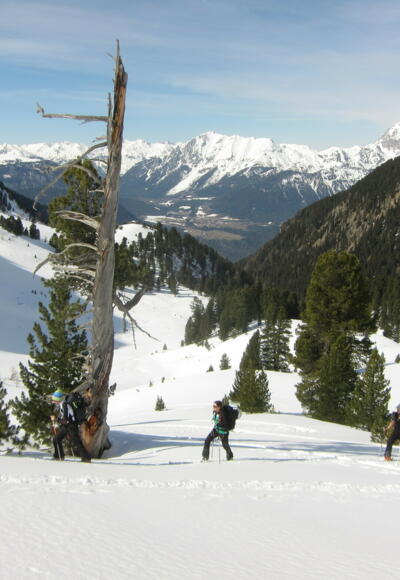 Aufstieg durchs Schartlestal entlang des Stamserbachs.