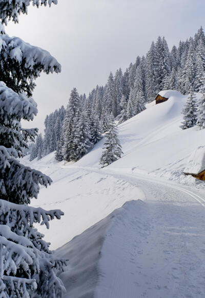 Schmuseweg Unterdamüls