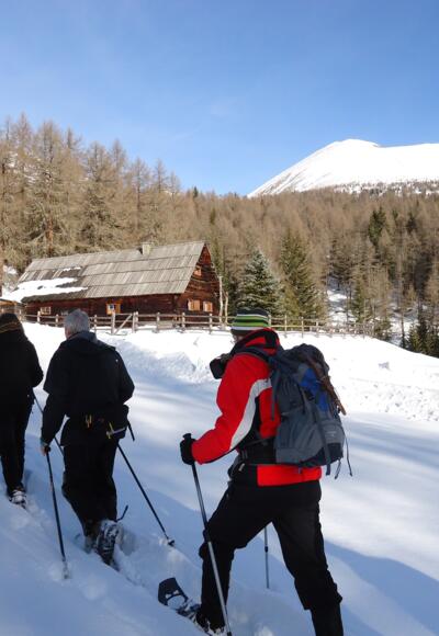 Nach ca. 15min. erreicht man die &quot;Vögeialm&quot; (unbewirtschaftet), an ihr steigt man gleich den Hang zur Linken auf