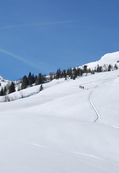 Aufstieg zum Plattenkogel