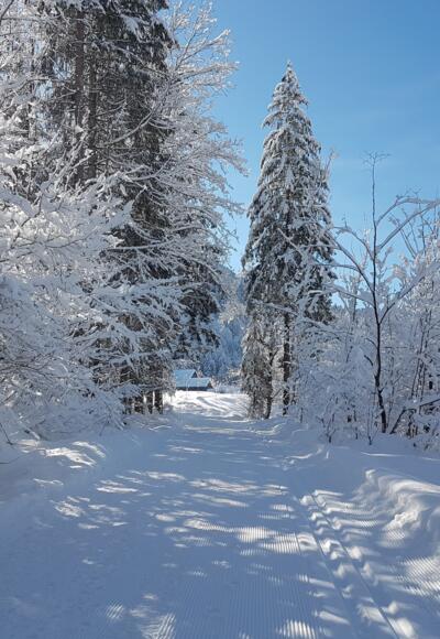 Winterwandern in Mellau