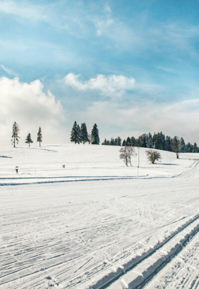Loipe und Winterwanderweg Sulzberg