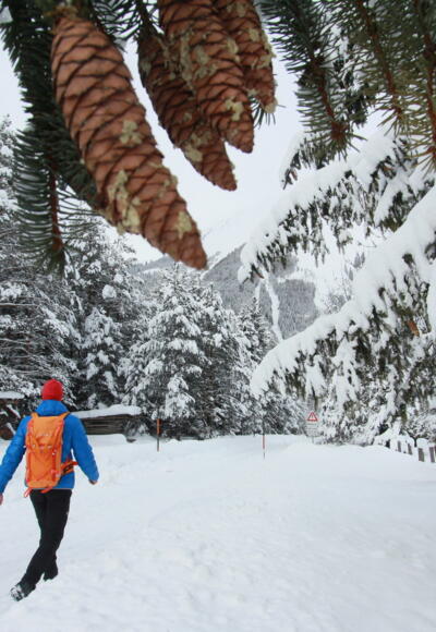 Panoramaweg Hinterhornbach