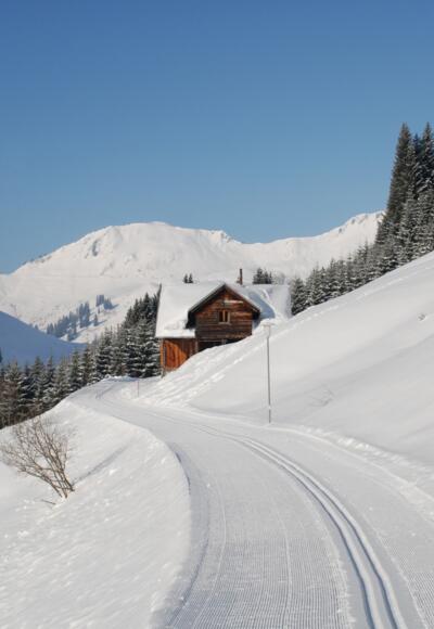Loipen und Wege in Damüls