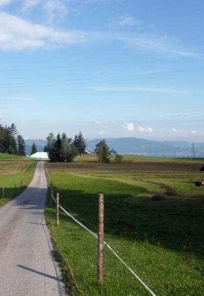 Alberschwende Greban