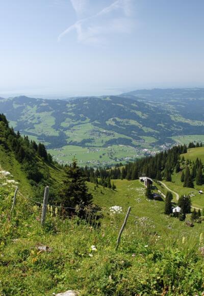 Baumgarten bei Bezau